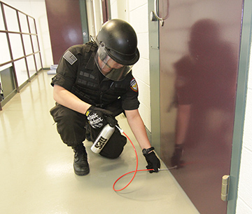 Professional DPS defense spray training and field experience